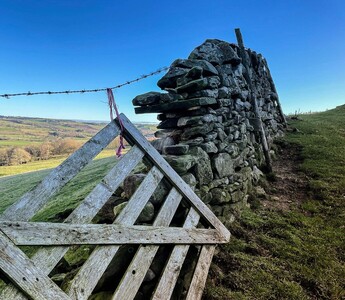 2nd Hanging on by a thread by Duncan Burridge