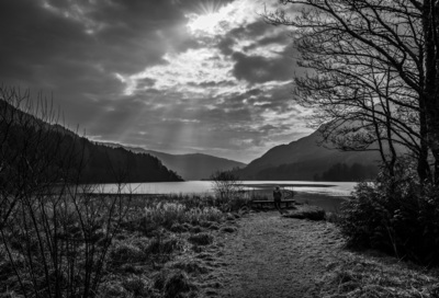 HC Solitude By Angus Reid