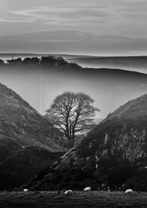 Hadrians Wall Sycamore Gap-3 - Nov 2020 - Angus Reid