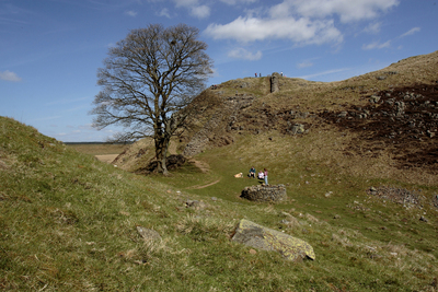 Sycamore Gap 02 - Barry Turnbull - April 2006