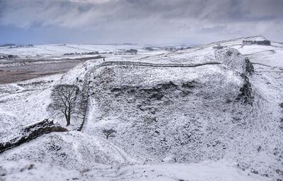 Sycamore Gap - Barry Turnbull - March 2009
