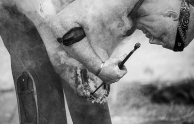 2nd The Farrier by Barbara Austin