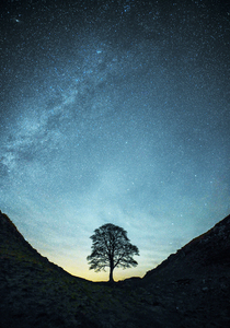 Milky Way over Sycamore Gap - Kev Hilton - November 2017