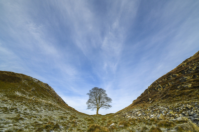 Sycamore Gap - Kev Hilton - Dec 2017
