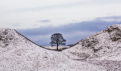 Icy Sycamore Gap - Kev Hilton - Dec 2015