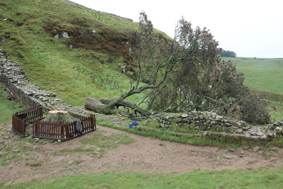 Sycamore Gap Oct 23 by Dave Strother
