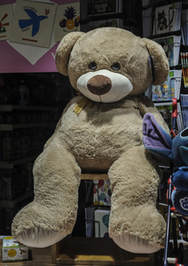 Angus Reid Last Teddy In The Shop