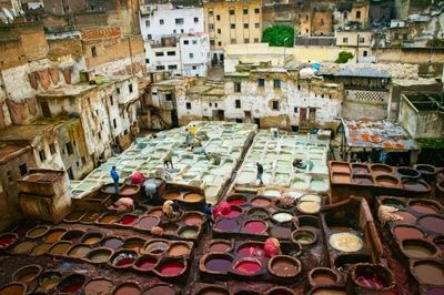 HC The Tannery by Dave Best