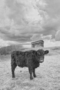 3rd My house on the hill by Graham Turner