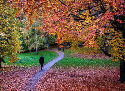 3rd Autumn Walk by Bob Turner