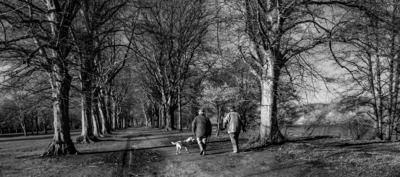 HC Winters walk by Val Johnston