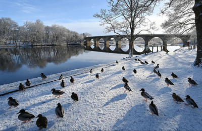 Cold Morning Tyne Green