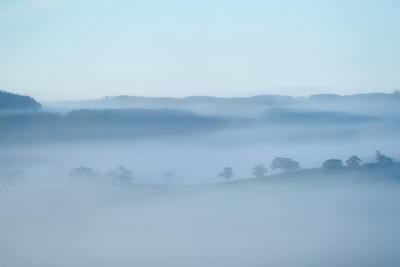 HC - Misty sandwich - Graham Turner