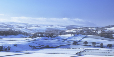HC - Winter Landscape - Sheila Stanger
