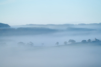 3 Misty Sandwich by Graham Turner